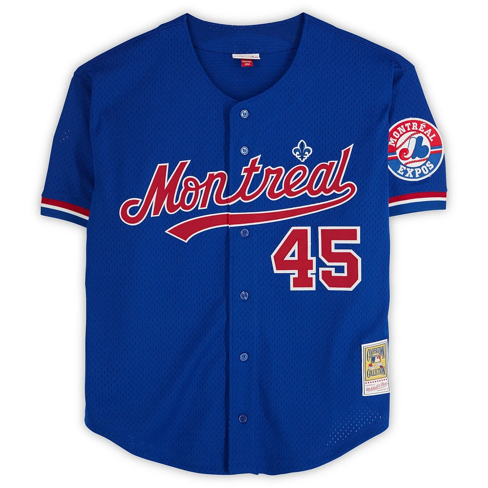 Pedro Martinez Montreal Expos Autographed Blue Mitchell & Ness Replica Jersey with Multiple Inscriptions - Limited Edition of 10
