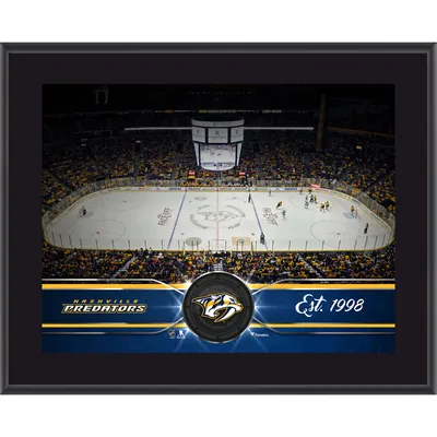 Plaque d'équipe sublimée Nashville Predators 10,5" x 13"