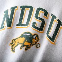 Men's Champion Gray NDSU Bison Arch Over Logo Reverse Weave Pullover Sweatshirt