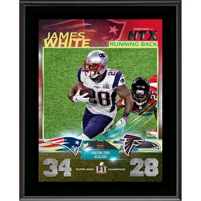 James White New England Patriots Unsigned Horizontal Super Bowl LI  Touchdown Photograph