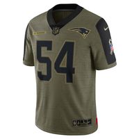 Men's Nike Tedy Bruschi Olive New England Patriots 2021 Salute To Service - Limited Player Jersey