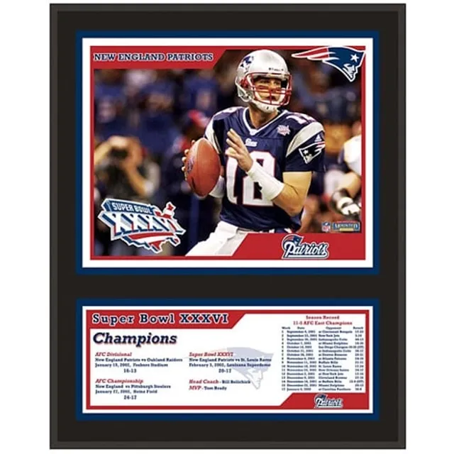 New England Patriots Fanatics Authentic 2017 AFC Champions