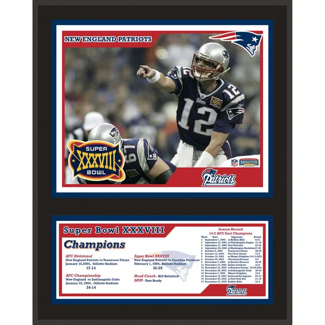 Mike Vrabel New England Patriots Unsigned Super Bowl XXXVIII Touchdown  Photograph