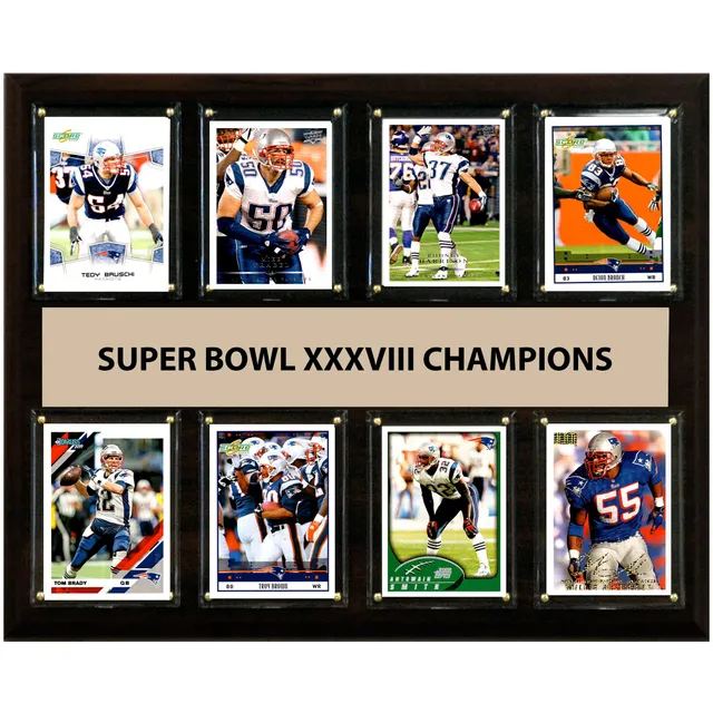 New England Patriots Super Bowl LIII Champions 12'' x 15'' Team