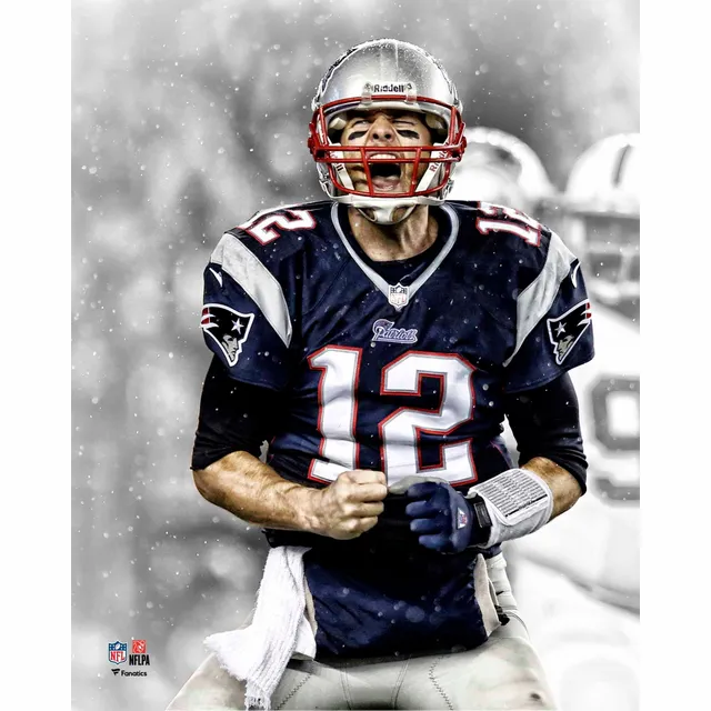 Tom Brady & Charles Woodson New England Patriots & Oakland Raiders  Multi-Signed 16'' x 20'' Tuck Rule Photograph