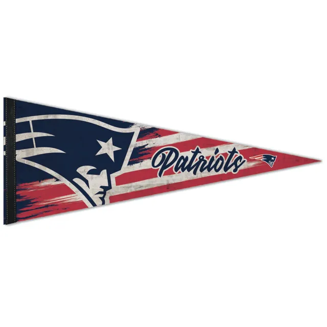 Lids Philadelphia Eagles WinCraft 12'' x 30'' Pride Premium Pennant