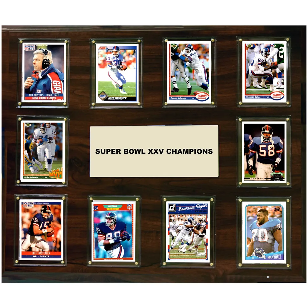 Original Super Bowl XXV Triumph in Tampa Autographed