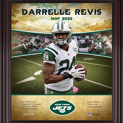 Profil de carrière du Temple de la renommée encadré de Darrelle Revis, New York Jets, 15" x 17"