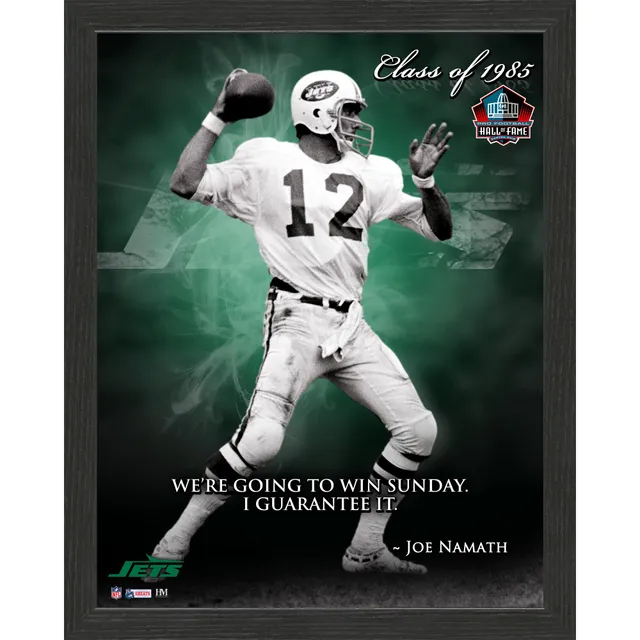 Joe Namath New York Jets Framed 15 x 17 Hall of Fame Career Profile