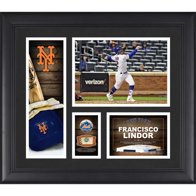 Lids Anthony Rizzo New York Yankees Fanatics Authentic Framed 15