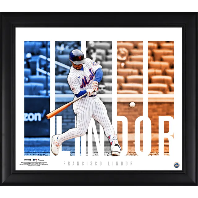 Lids Anthony Rizzo New York Yankees Fanatics Authentic Framed 15