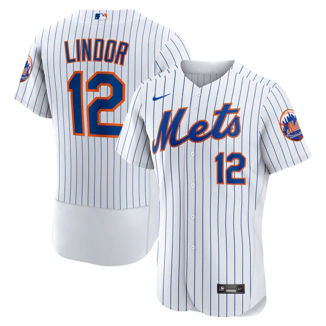 Youth Nike Francisco Lindor Black New York Mets Alternate Replica Player  Jersey