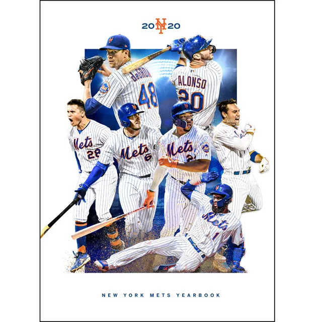 Lids New York Mets New York Mets 9'' x 11'' Game-Used Dirt Plaque