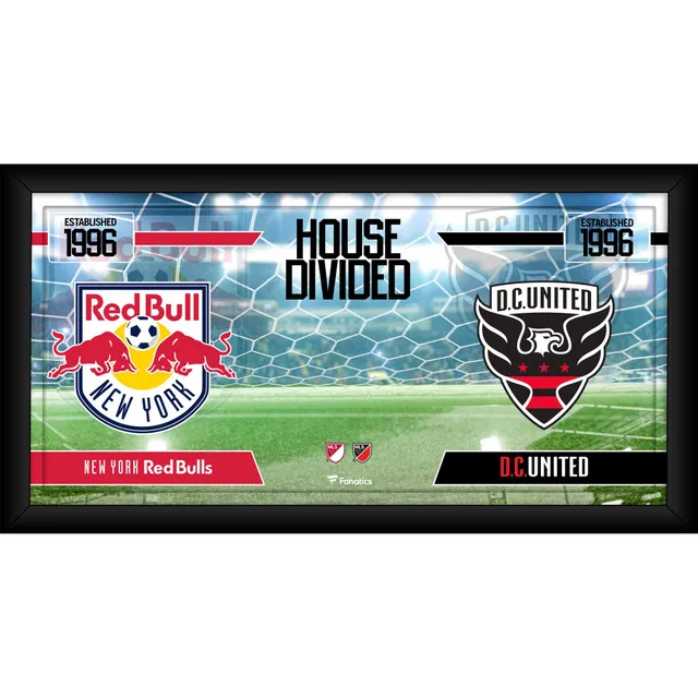 Pittsburgh Steelers vs. Cincinnati Bengals Fanatics Authentic Framed 10 x 20 House Divided Football Collage