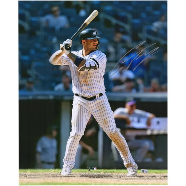 Autographed New York Yankees Don Mattingly Fanatics Authentic 16 x 20  Fielding Photograph