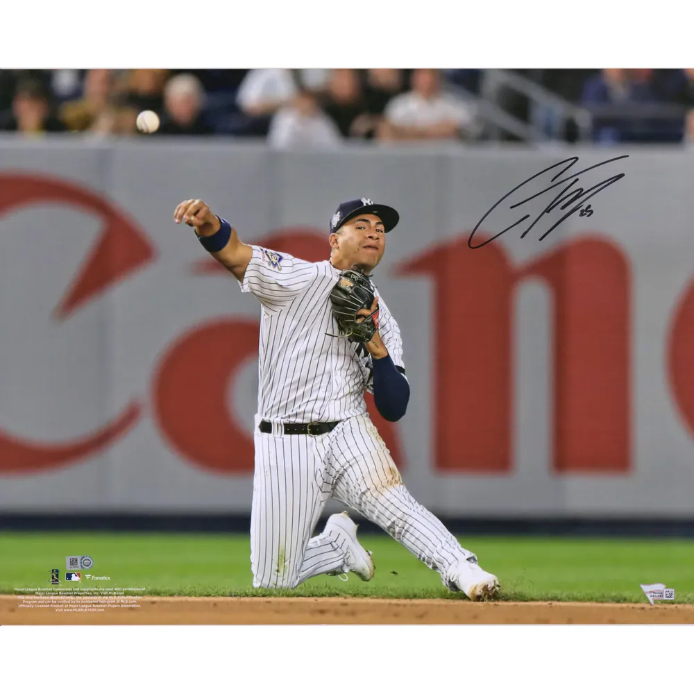 Lids Gleyber Torres New York Yankees Fanatics Authentic Autographed 16 x  20 Throwing Photograph