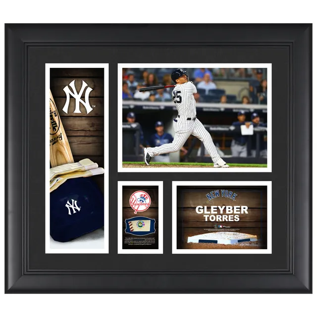 Aaron Judge New York Yankees Autographed Baseball Shadow Box