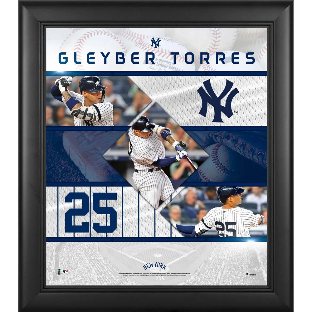 Gleyber Torres New York Yankees Fanatics Authentic Autographed
