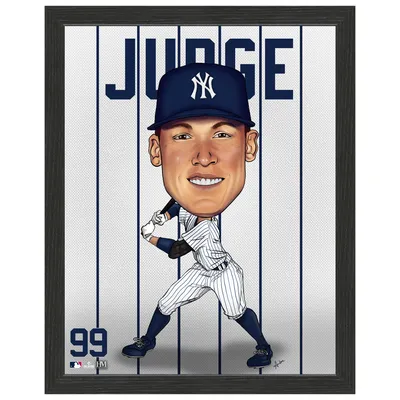 Aaron Judge New York Yankees Highland Mint 12'' x 15'' Framed Dynamo Photo Art