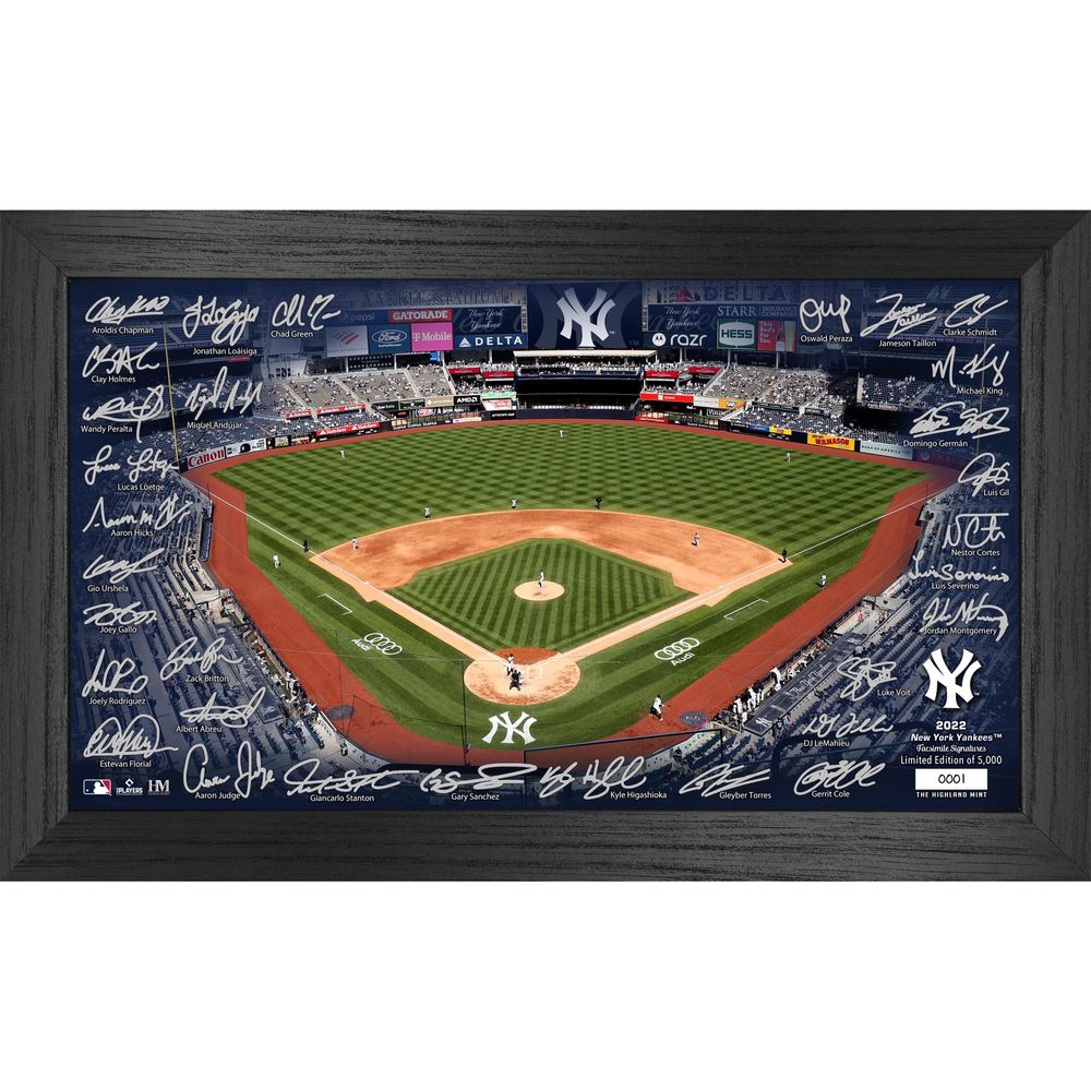 Lids DJ LeMahieu New York Yankees Fanatics Authentic Framed