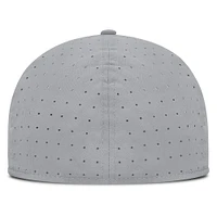 Men's Nike Gray New York Yankees True Performance Fitted Hat