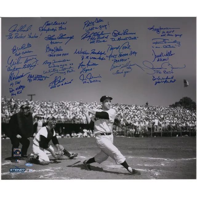 Jose Trevino New York Yankees Fanatics Authentic Autographed 16
