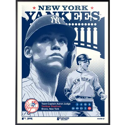 Aaron Judge New York Yankees Phenom Gallery 18" x 24" Deluxe Framed Serigraph
