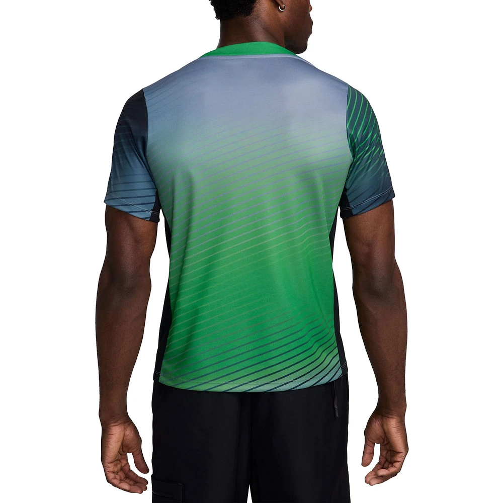 Men's Nike  Gray Nigeria National Team 2024 Academy Pro Pre-Match Top