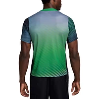 Men's Nike  Gray Nigeria National Team 2024 Academy Pro Pre-Match Top