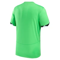 Maillot Nike Nigeria Femme National Team 2023 Domicile Stadium Replica Vert Homme