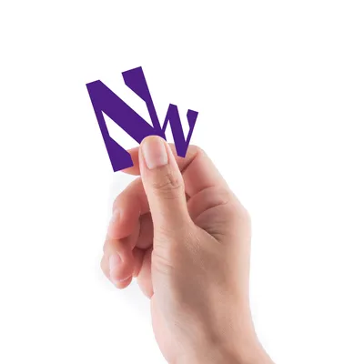 Northwestern Wildcats Fathead 5-Piece Mini Decal Set