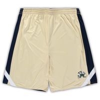 Men's Colosseum Navy/Gold Notre Dame Fighting Irish Big & Tall Team Reversible Shorts