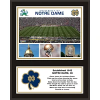 Notre Dame Fighting Irish 12'' x 15'' Sublimated Team Plaque