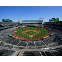 Tampa Bay Rays Unsigned General View Photograph