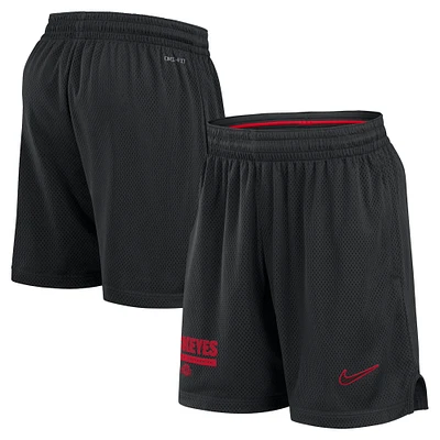 Short Nike noir Ohio State Buckeyes 2024 Sideline Performance Mesh pour homme