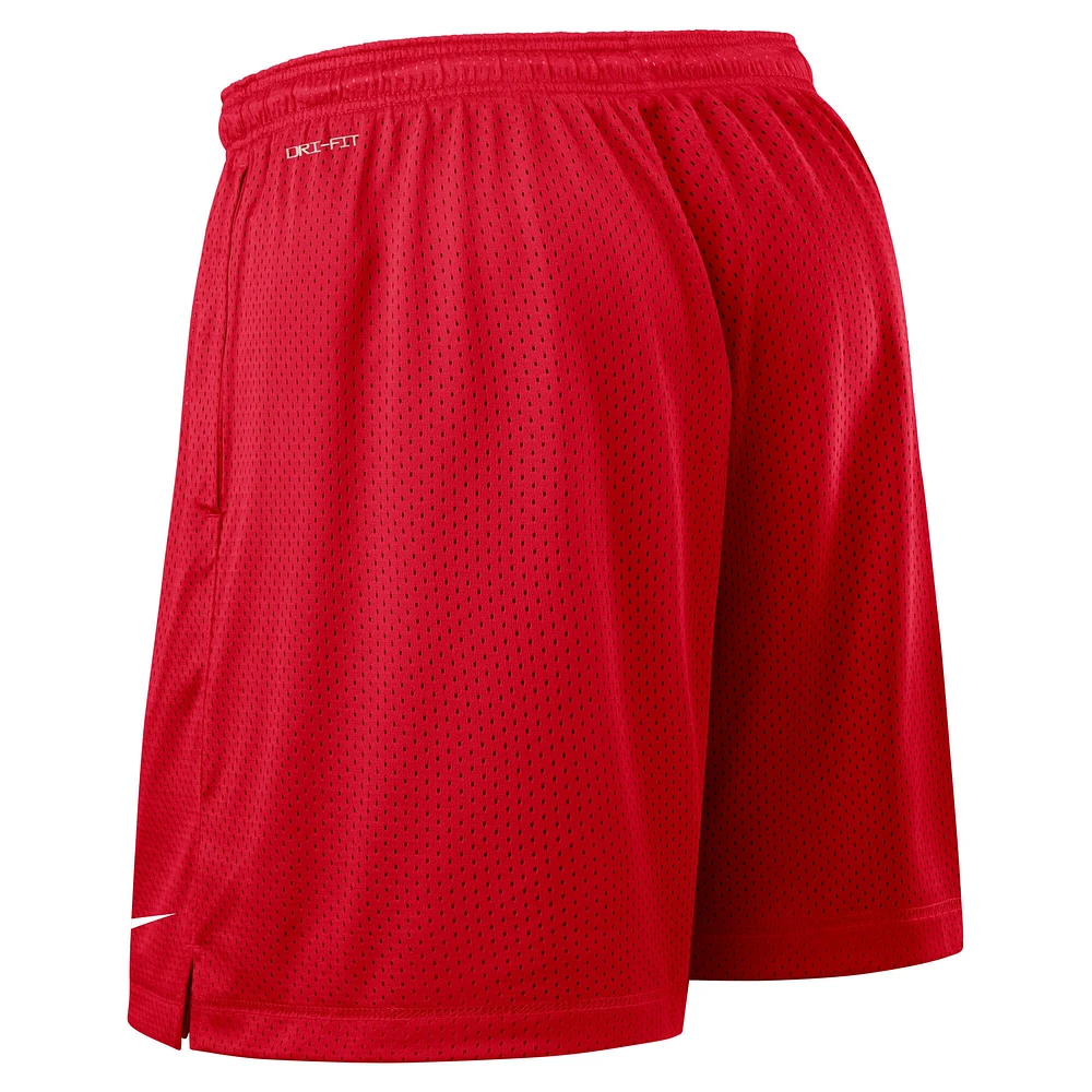 Men's Nike Scarlet/Gray Ohio State Buckeyes 2025 Sideline Reversible Performance Shorts
