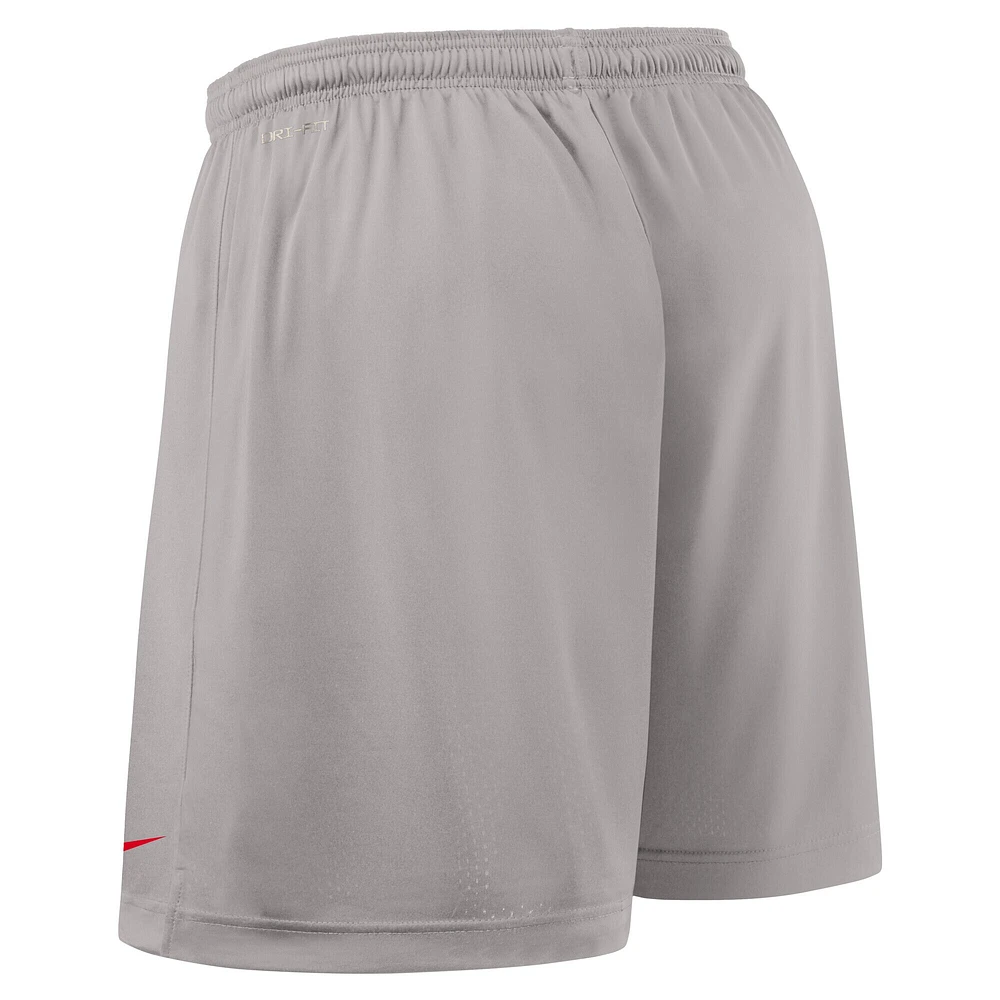 Men's Nike Scarlet/Gray Ohio State Buckeyes 2025 Sideline Reversible Performance Shorts