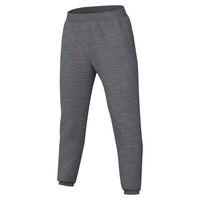 Men's Nike Heather Gray Oregon Ducks Team Logo Spotlight Performance Pants