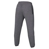 Men's Nike Heather Gray Oregon Ducks Team Logo Spotlight Performance Pants