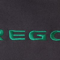 Youth Charcoal Oregon Ducks Big Logo Pullover Hoodie