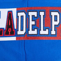 Sweat à capuche logo fendu Pro Standard Royal Philadelphia 76ers pour homme