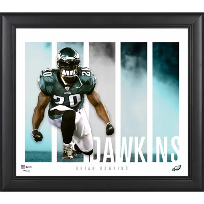 Philadelphia Eagles 2022 NFC East Division Champions 15'' x 17'' Collage