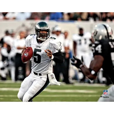 Donovan McNabb Philadelphia Eagles Fanatics Authentic Unsigned Touchdown Celebration Photograph