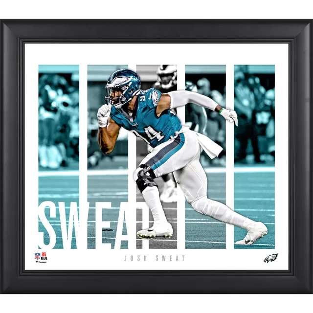 Lids Jordan Davis Philadelphia Eagles Fanatics Authentic Framed 15 x 17  Player Panel Collage