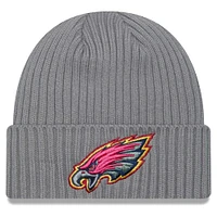 Men's New Era Gray Philadelphia Eagles Color Pack Cuffed Knit Hat