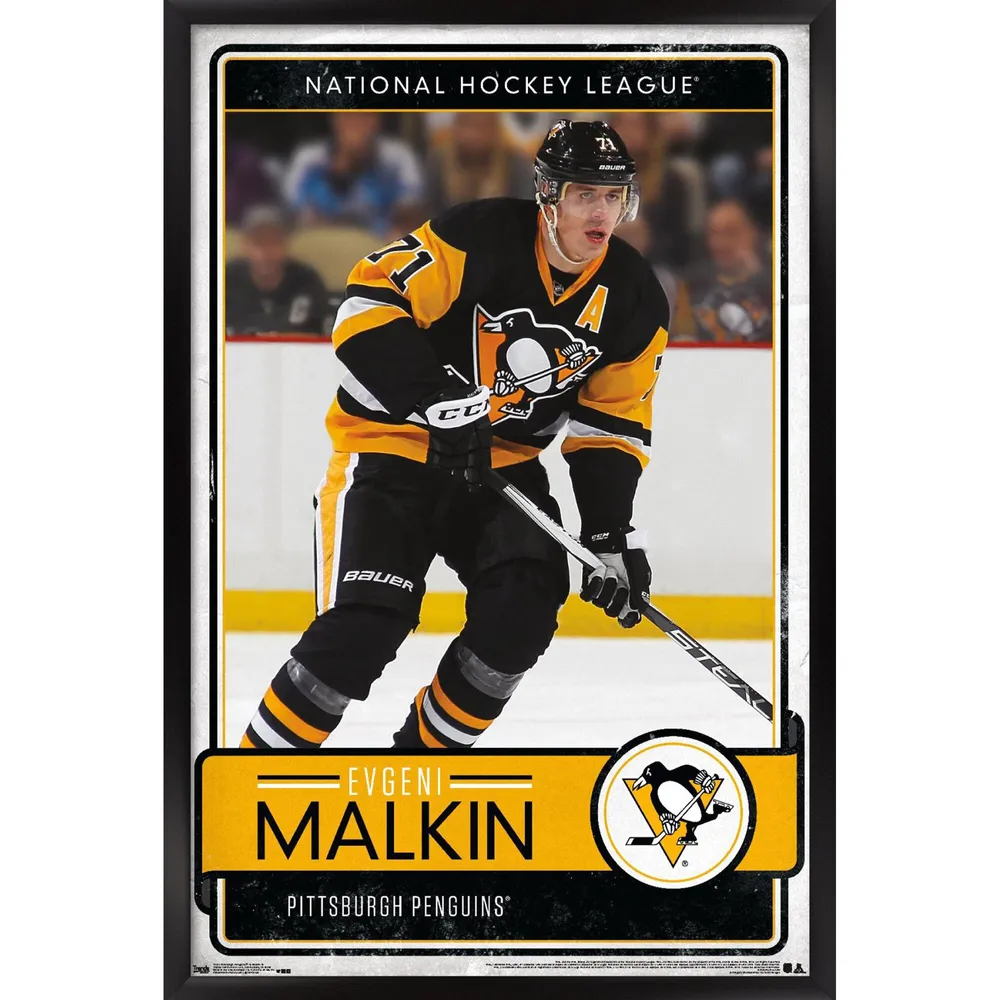 Men's Pittsburgh Penguins Evgeni Malkin adidas Black Alternate Primegreen  Authentic Pro Player Jersey