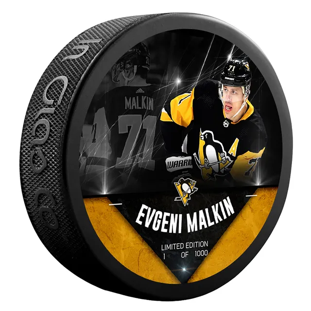 Evgeni Malkin Pittsburgh Penguins Fanatics Authentic 2023 Winter Classic  12 x 15 Sublimated Plaque with Game-Used Ice - Limited Edition of 500