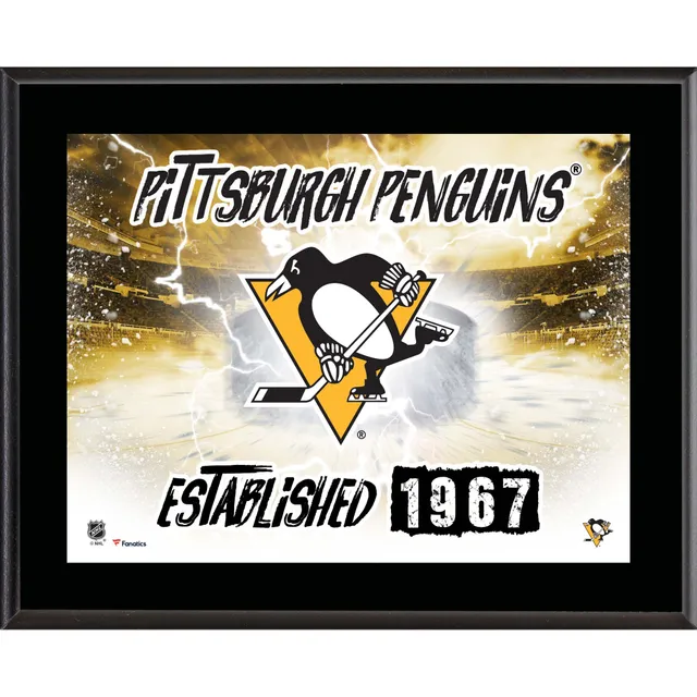 Pittsburgh Steelers Framed 10.5 x 13 Sublimated Horizontal Team Logo Plaque