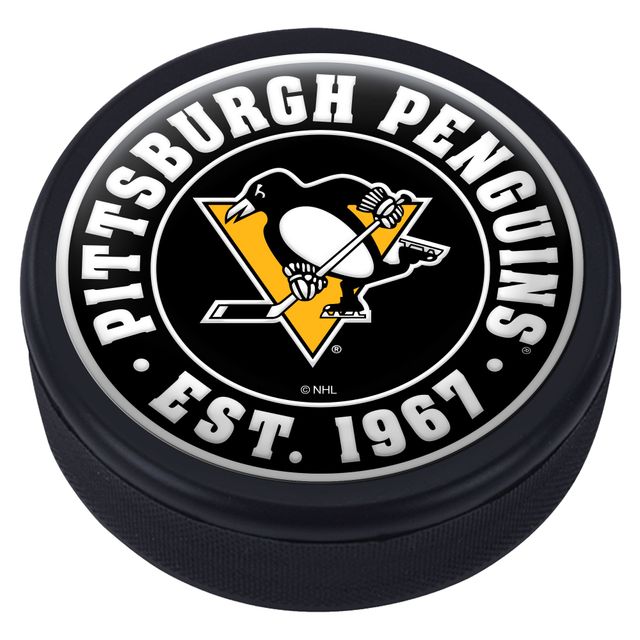 L'équipe du dôme des Penguins de Pittsburgh a établi une rondelle