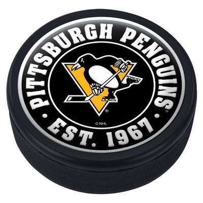 Pittsburgh Penguins Domed Team Established Puck